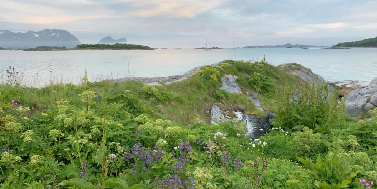 ホテル Bedehuset Basecamp Senja Skaland エクステリア 写真